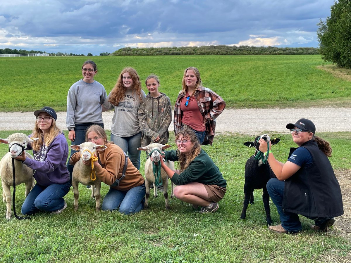 Belonging doesn’t always start with big conversations. Sometimes it begins by doing something simple together — caring for animals, sharing a quiet moment, feeling at ease side by side. That’s how friendships grow. Discover how exchanges create connections ymcagta.org/yec