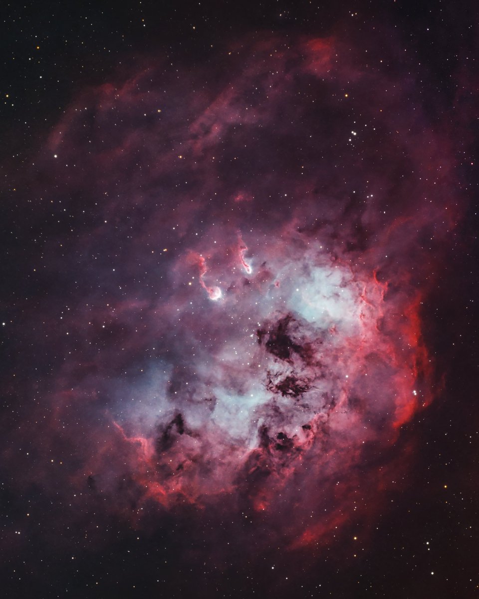 🔭AstroBackyard tweet media