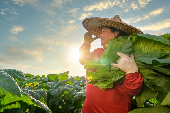 Joint SDG Fund 🇺🇳 tweet media