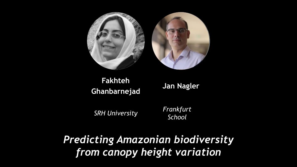 Complexity 72h tweet media