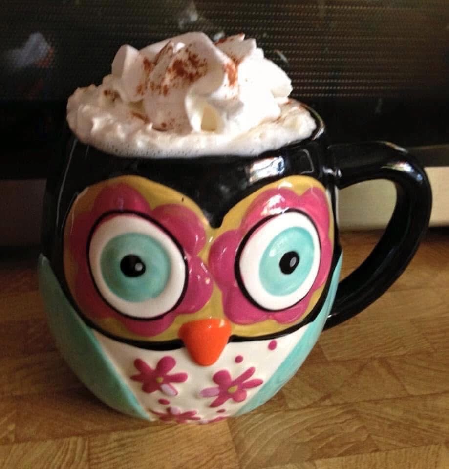 kathynhays's tweet photo. It is a hoot of a day. Happy Thursday https://t.co/Knt5jCWG4z