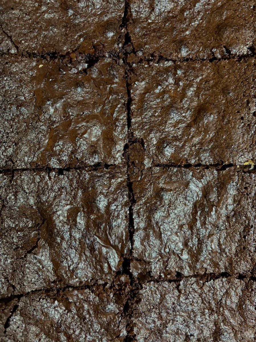 Sprouted spelt brownies, to celebrate black history month of course