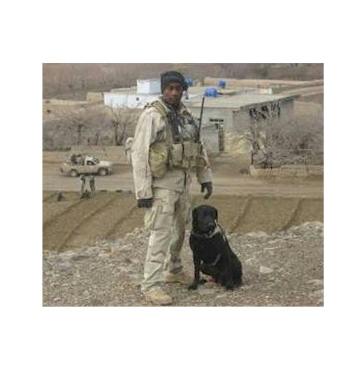 Honoring Army Handler - Staff Sergeant Donald Therronie Tabb, May 30, 1978 - February 5, 2008, Killed In Action, Afghanistan, OEF

Pictured here with MWD Bo L020 SSD, who was adopted by his family