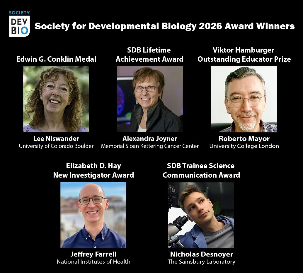 Society for Developmental Biology tweet media