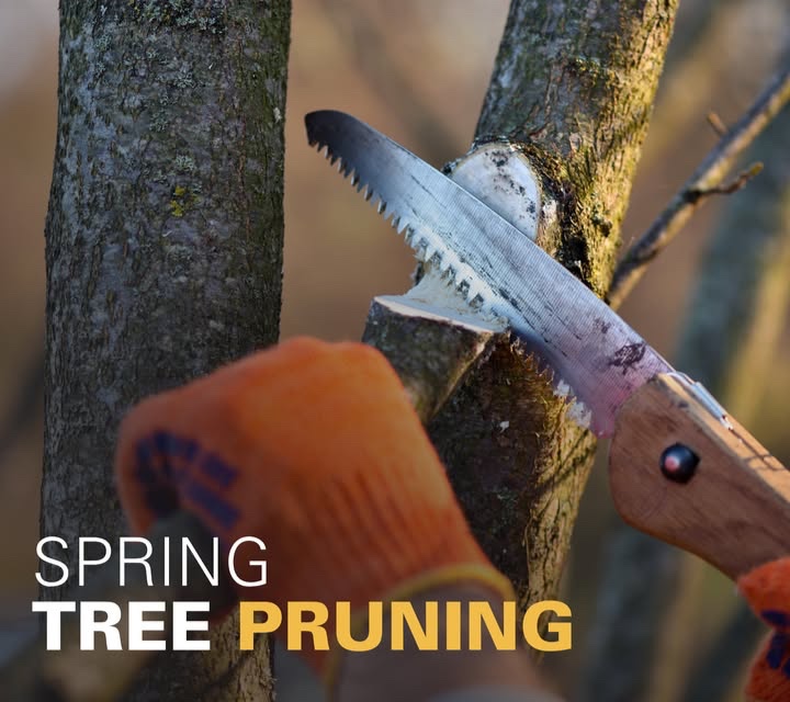 ISU Extension Store tweet media