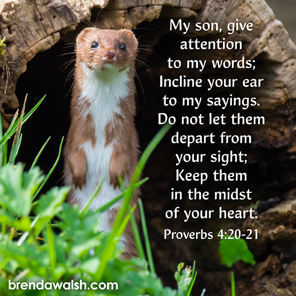 brendakwalsh's tweet photo. Today's Daily Scripture Picture: Listen & Live
Proverbs 4:20-21 – “My son, give attention to my words; Incline your ear to my sayings. Do not let them depart from your sight; Keep them in the midst of your heart.”
#scripture #verseoftheday #bibleverse #biblestudy #bibletext https://t.co/oRxLLdnYR4