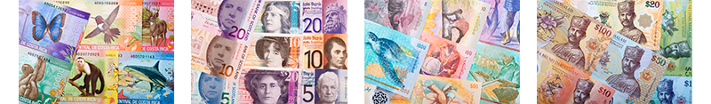 Experience the future of polymer banknote management with our state-of-the-art two-stage shredding system.

Want to learn more? 
Then certainly read our blog and also subscribe to future updates on polymer banknote destruction. 👇

bit.ly/4a1rPlW