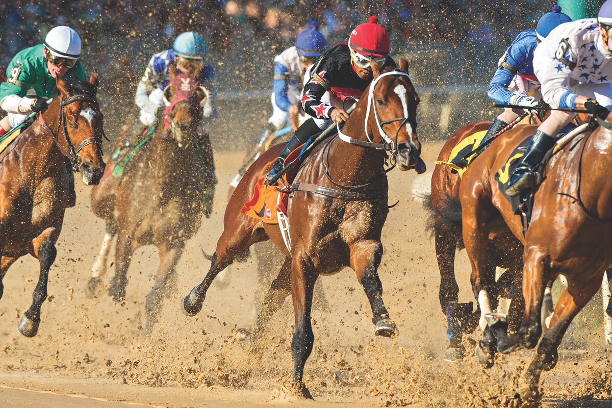 Visit Hot Springs tweet media