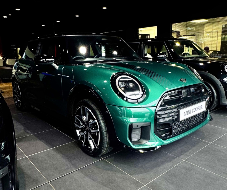 Lloyd MINI tweet media