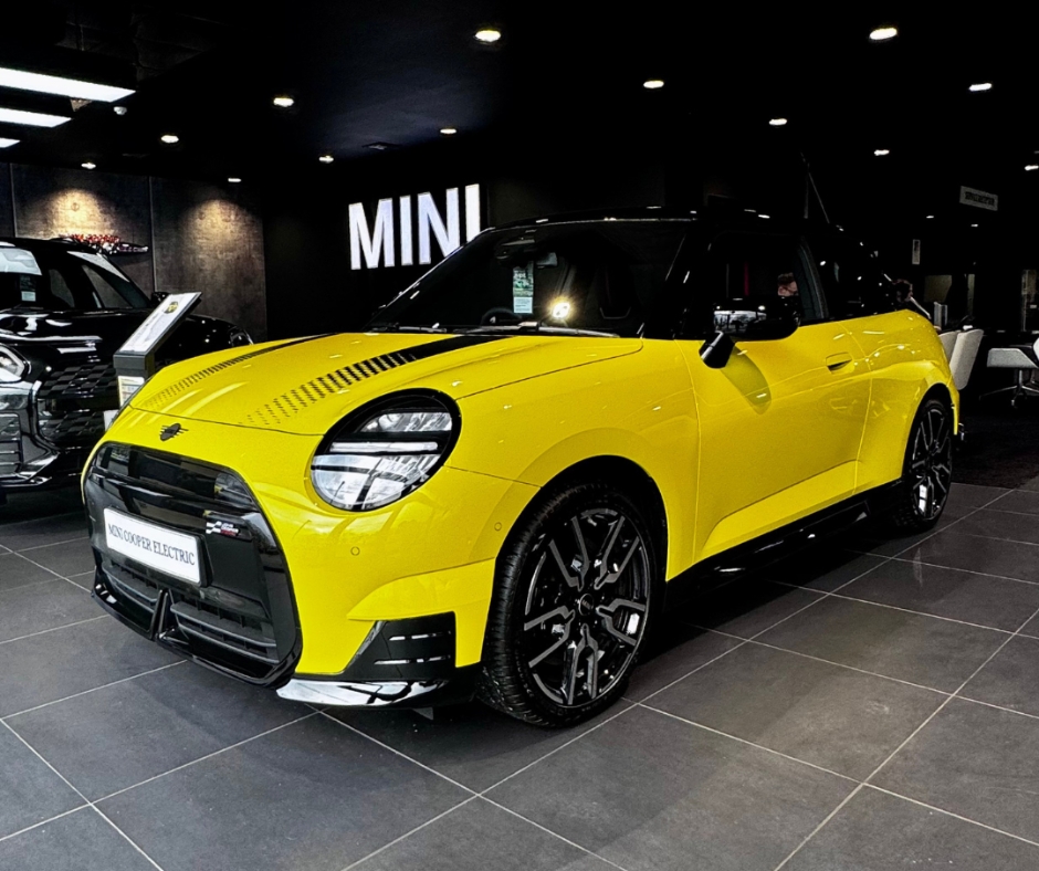 Lloyd MINI tweet media