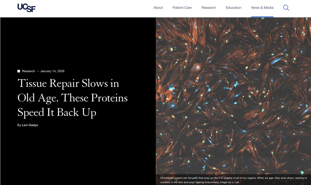 Junevity tweet media