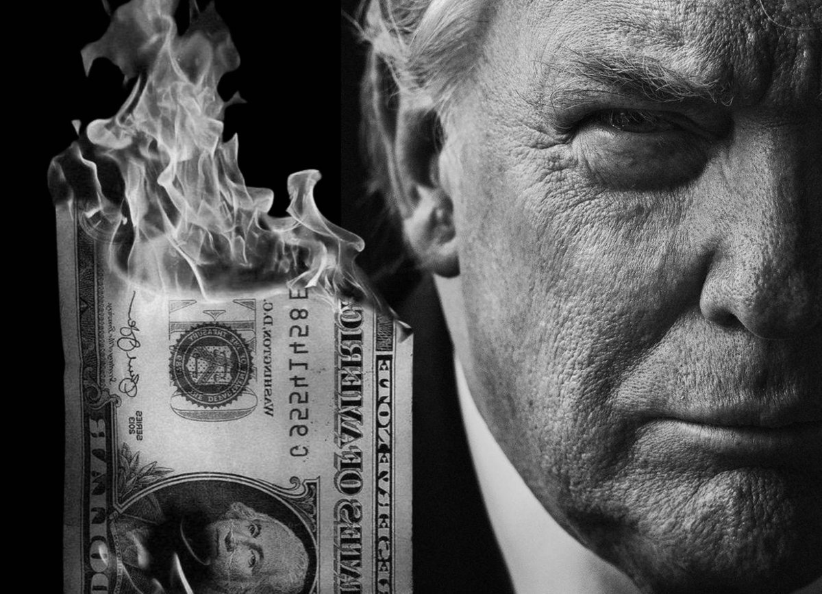 Bull Theory tweet media