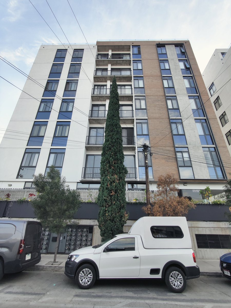 Nos reportan esta aberración en la calle Ayuntamiento 2145, col. Ayuntamiento, Guadalajara, en el proyecto NOHO Towers. ¿Se levanta o levantó algún acta, <a href="/GuadalajaraGob/">Gobierno de Guadalajara</a> ? Aún es posible salvarlo y vale la pena intentarlo, <a href="/VeroDelgadilloG/">Verónica Delgadillo</a> , <a href="/arboristgdl/">Pablo Garcia</a> .