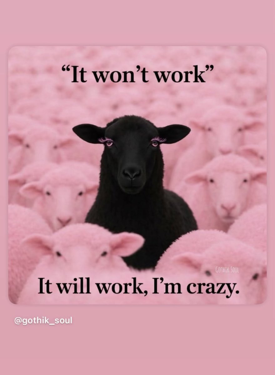 لولوه بن سعيدان tweet media