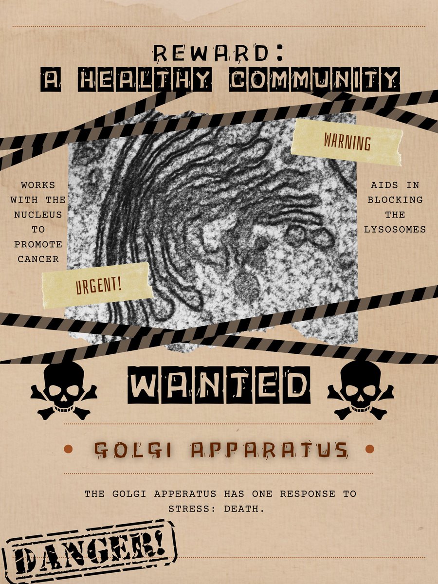 CellWallFlex's tweet photo. https://t.co/q1g2oot7Ed