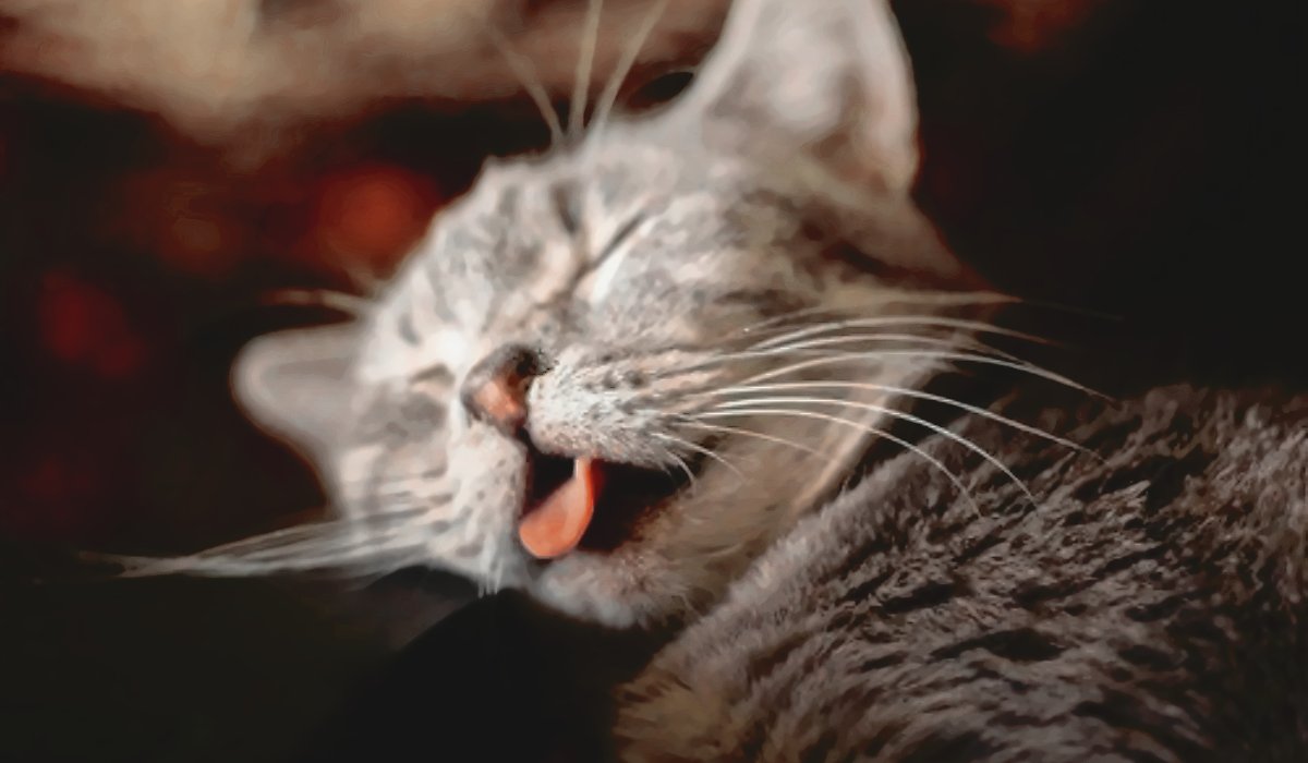 𝓱𝐞𝐫𝐦𝐢𝐨𝐧𝐞. tweet media