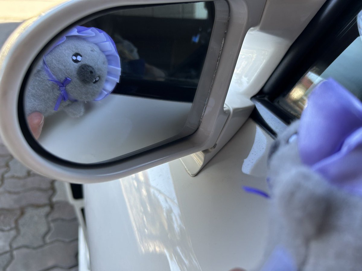 __s__73_'s tweet photo. ぬい活をしろ！って言ってぬいぐるみ渡したらちゃんと愛車と写真撮ってきて送ってきてくれたʚ̴̶̷̆ ̫ ʚ̴̶̷̆💖 https://t.co/mpsJvc9ql6