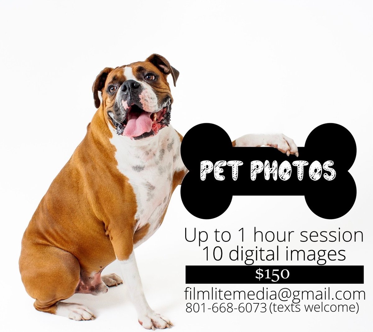 youngprod's tweet photo. Get your favorite doggies  photo's done at Filmlite Media https://t.co/Hqha552Bjh https://t.co/C7UxWa8DV8