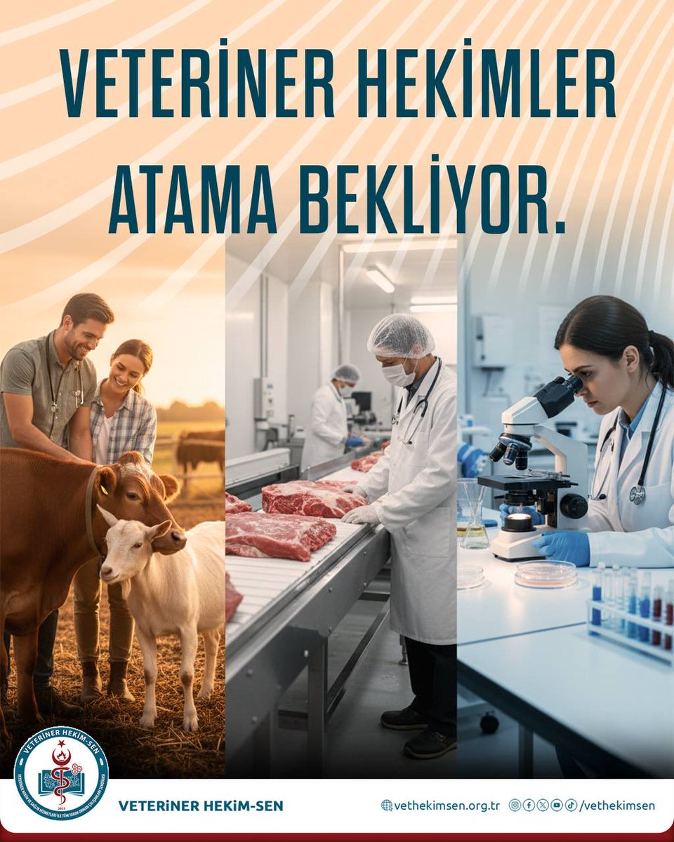 Ülkemizde veteriner hekim açığı artık konuşulmaktan çok, sahada her gün hissedilen bir gerçektir.

Bir yanda personel eksikliğiyle ayakta durmaya çalışan kurumlar,
diğer yanda yıllarca eğitim almış ve uzmanlaşmış genç meslektaşlarımızın sabırla süren bekleyişi…

Halk sağlığı ve