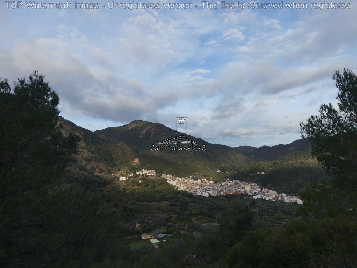 JJCarrasco 🍀 👣 tweet media