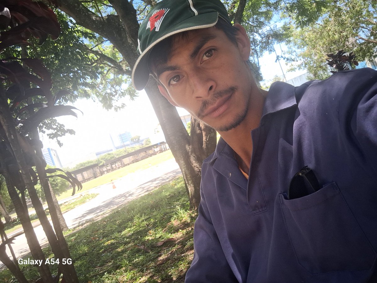 Paulo tweet media