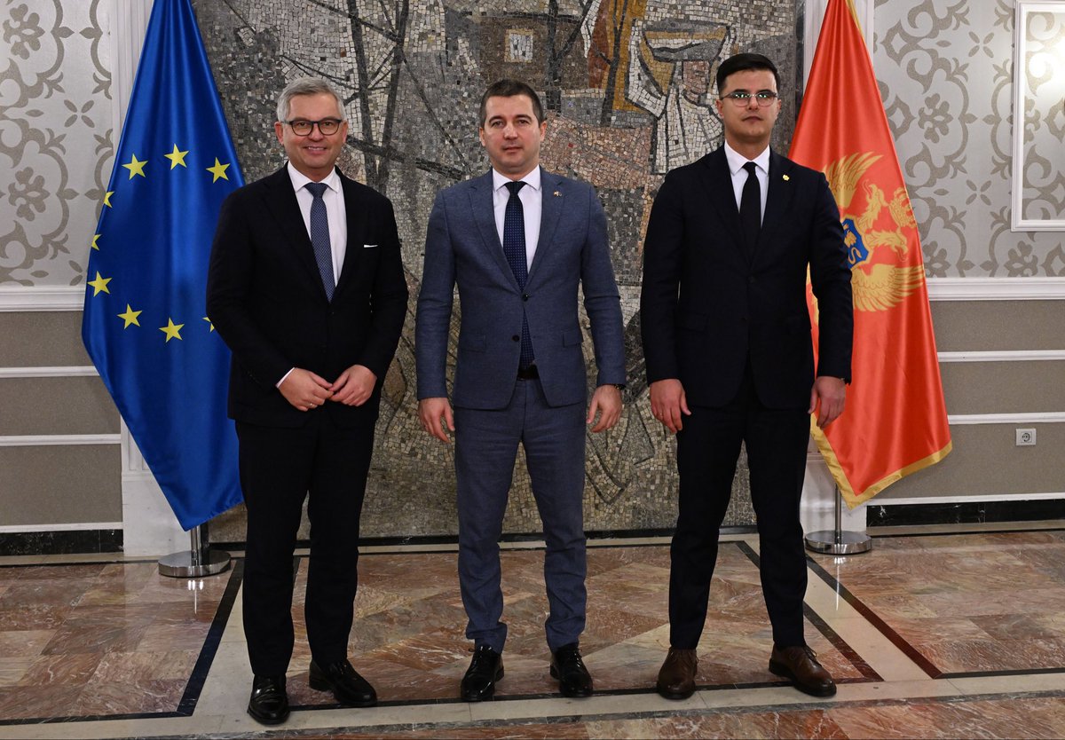 Magnus Brunner tweet media