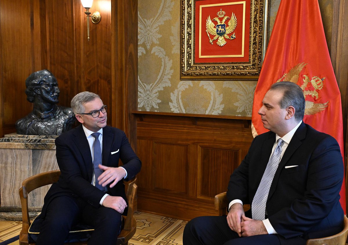 Magnus Brunner tweet media