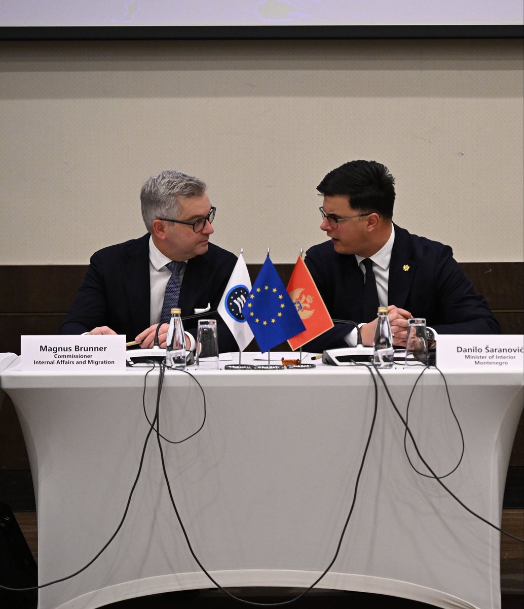 Magnus Brunner tweet media