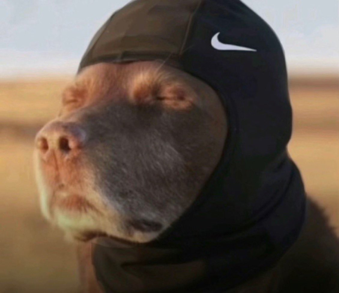 3MWD__'s tweet image. giannis is staying in milwaukee, ja is gonna stay in memphis and tyler herro is still gonna be on my roster