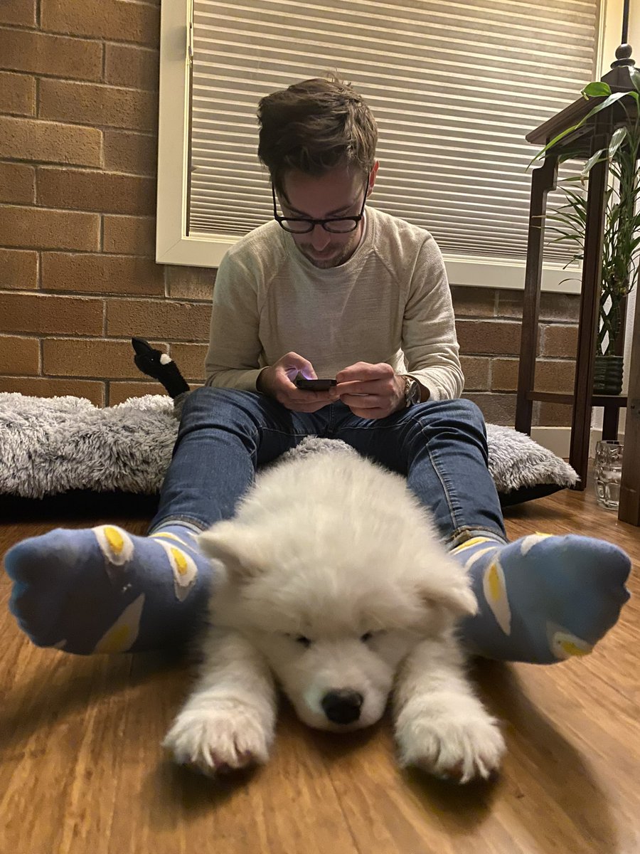 hickenbottom's tweet photo. Year 3 of Fluff butt :) https://t.co/fxSXG7zQXM