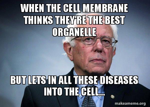 CEOofdaCell's tweet photo. https://t.co/jigDiFLgQb