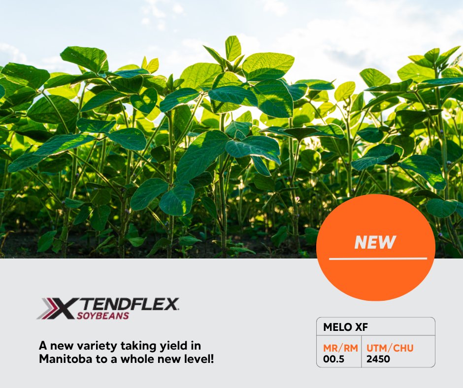 Prograin tweet media