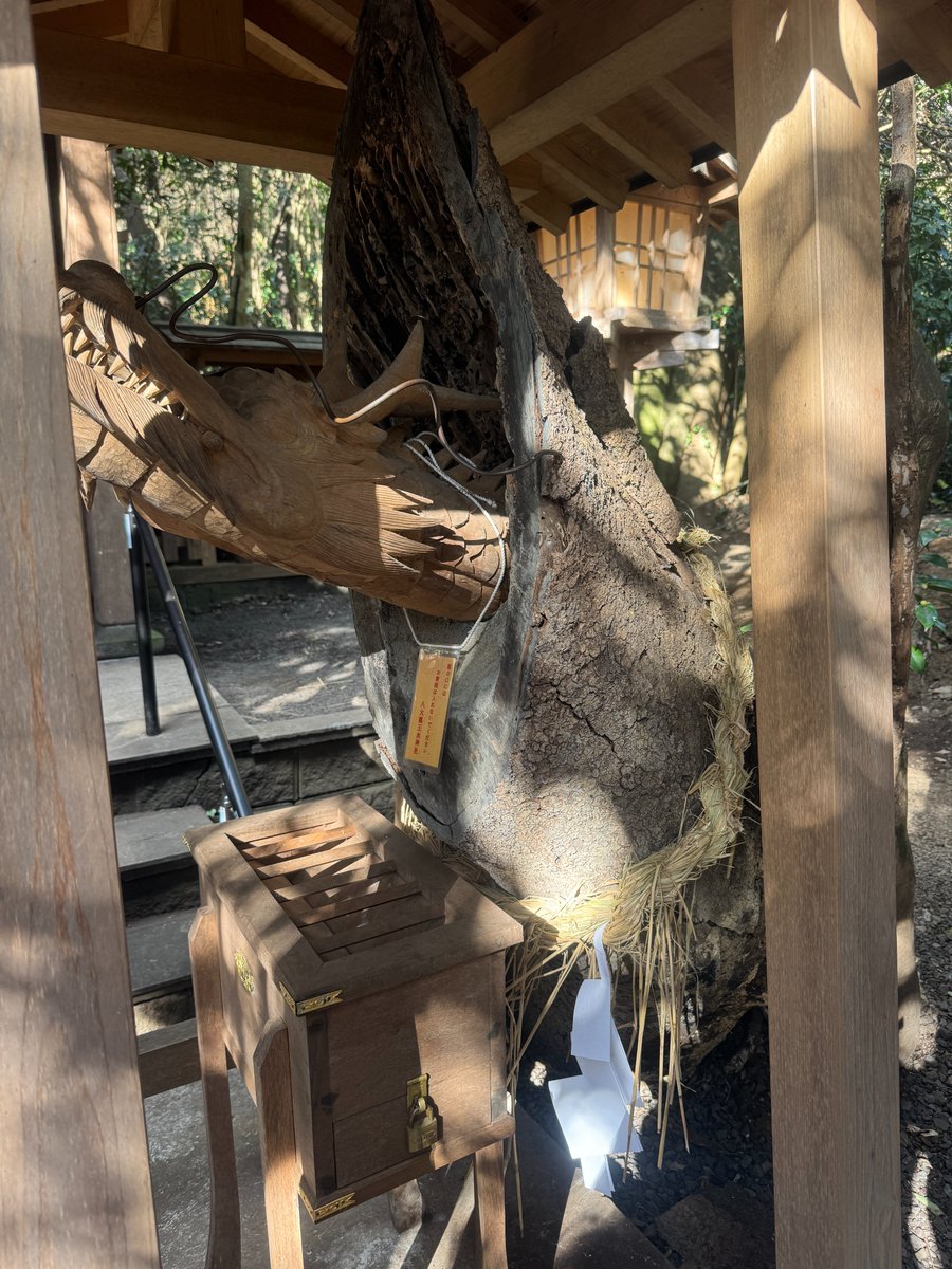 【※超強力注意】

この写真、
…本当にすごいんです。

2/8の一粒万倍日までに
この写真を見れた方は

思わず涙が出るほど、
全部が報われる出来事
ほんとうに起こります
人生大逆転します🐉

【🐉リプ】で
あなたにも幸福が届きます。