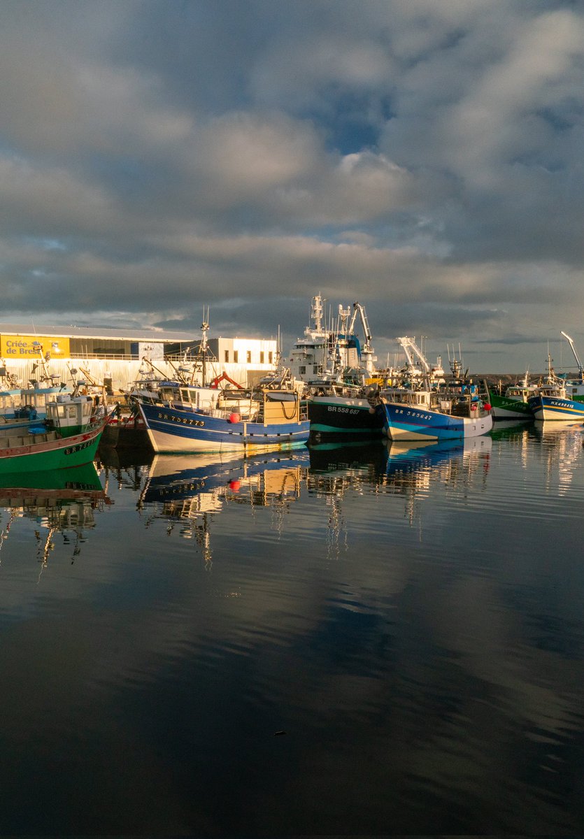 Breizhhollgaret tweet media
