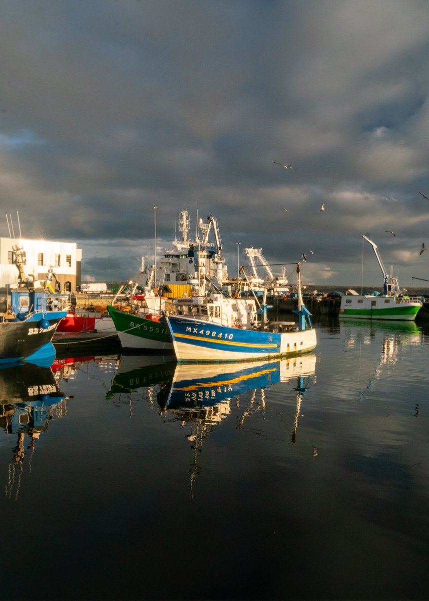 Breizhhollgaret tweet media