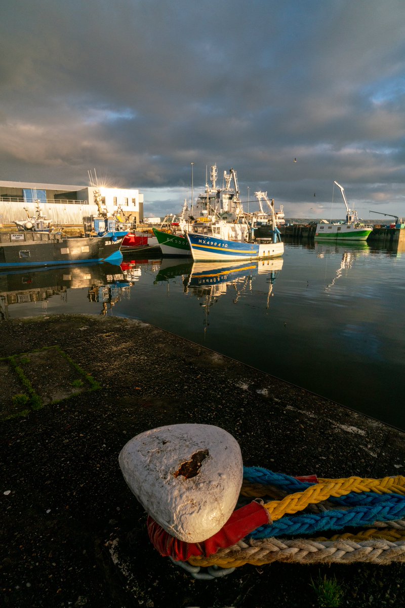 Breizhhollgaret tweet media