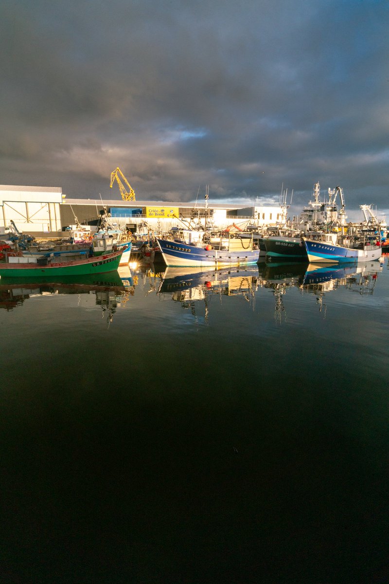 Breizhhollgaret tweet media