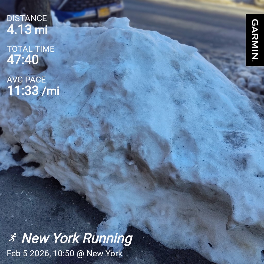 #bushwickmarathoner tweet media