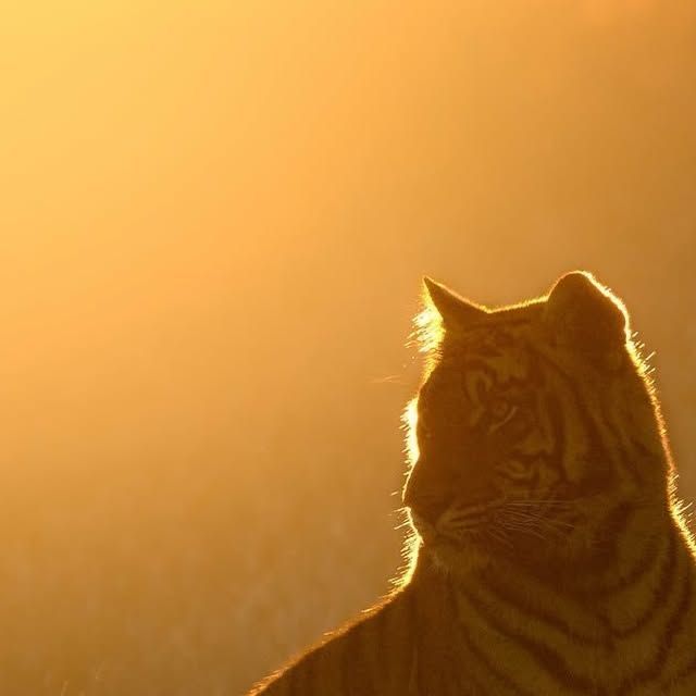 pack8aitz's tweet image. 