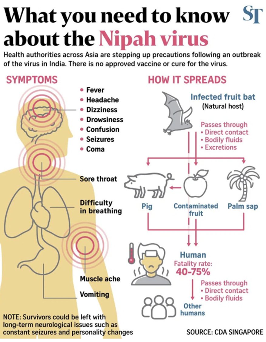 guerreroespejo's tweet image. #India reports 2 confirmed #Nipah #virus cases in West Bengal, both healthcare workers.
The case fatality ratio in outbreaks across Bangladesh, India, Malaysia, &amp;amp; Singapore range from 40% to 75%, depending on early detection &amp;amp; clinical management.
who.int/emergencies/di…
