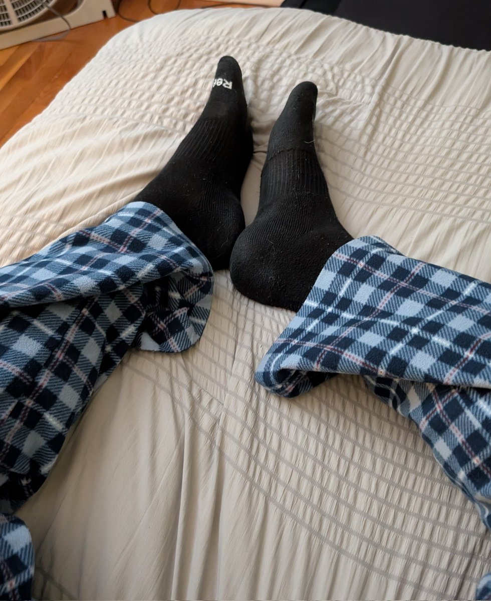 Big Blue Gay Dog tweet media