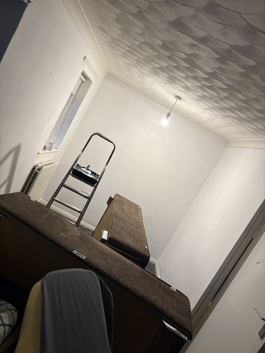 gent_gent4's tweet photo. So the Man cave needs painting out. Genty is all over this. Like a tramp on chips 😎 https://t.co/vAeozHQgHK