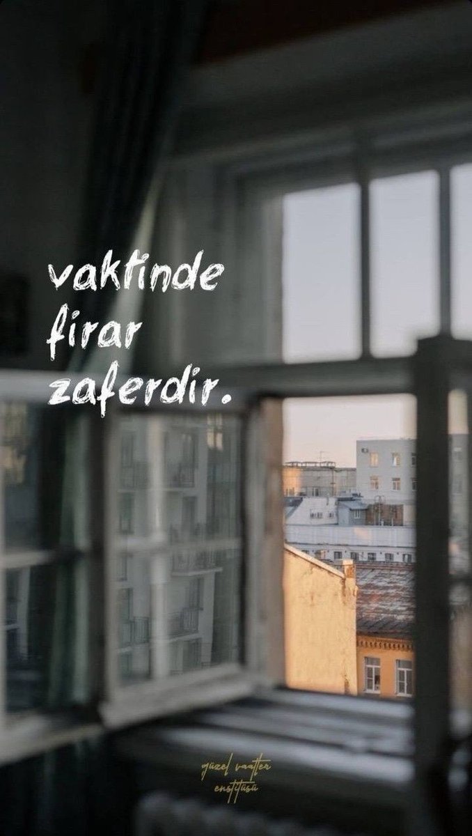 ilssonteuxsair's tweet photo. Vaktinde firar zaferdir https://t.co/6a6Rkjy6D9