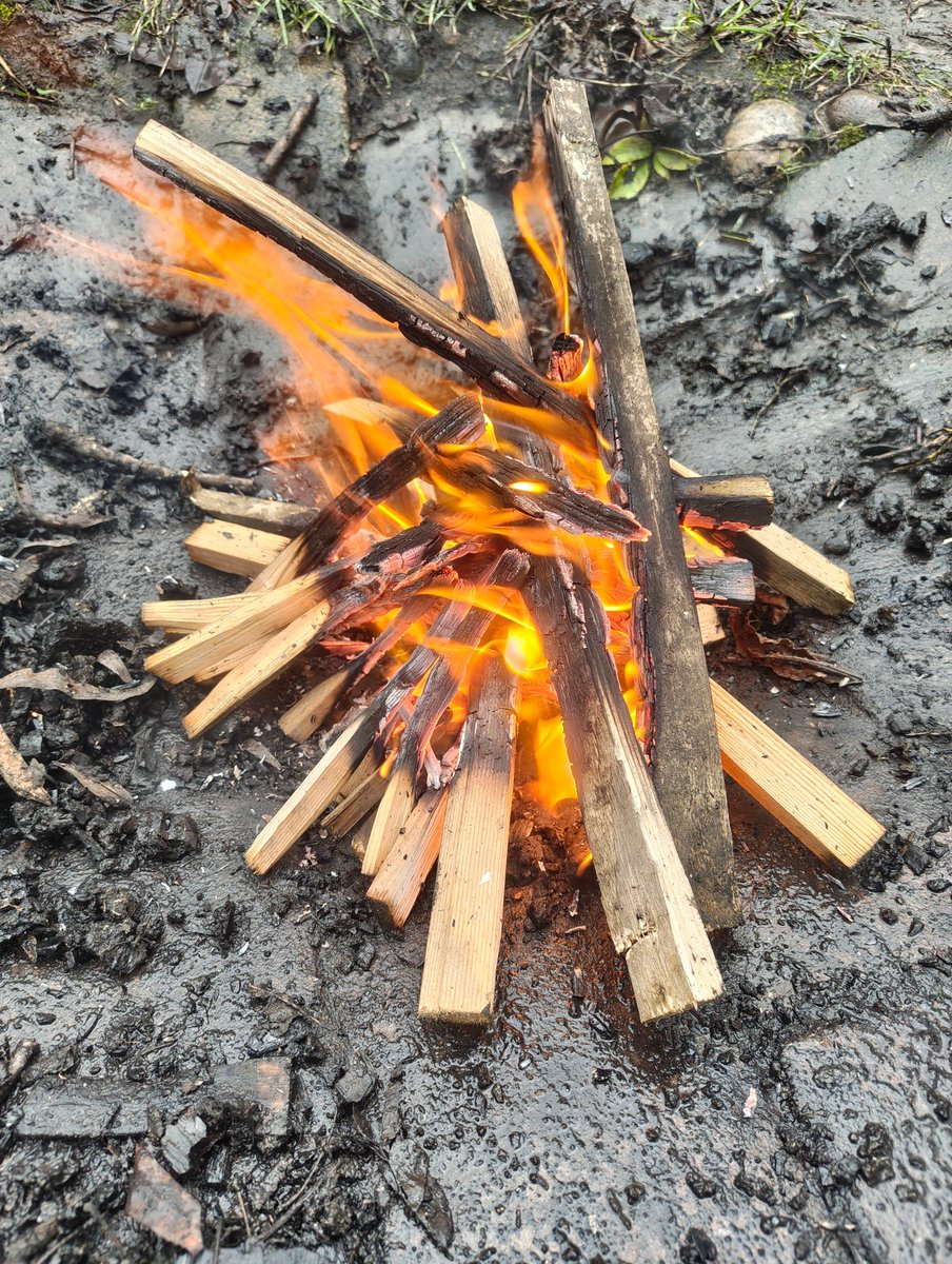 Beeches School tweet media