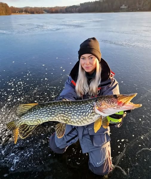 NaturesAnglers's tweet photo. 🎣❄ This pike in its leopard outfit looks richer than I do at a corporate party! I'm standing on the ice at -15 degrees, frozen like an Eskimo, and SHE is posing in a designer print from nature itself!
#fishing #FishingGirl #FishingGirls #fishinglife #fishingtrip https://t.co/d0kVzKMMO6