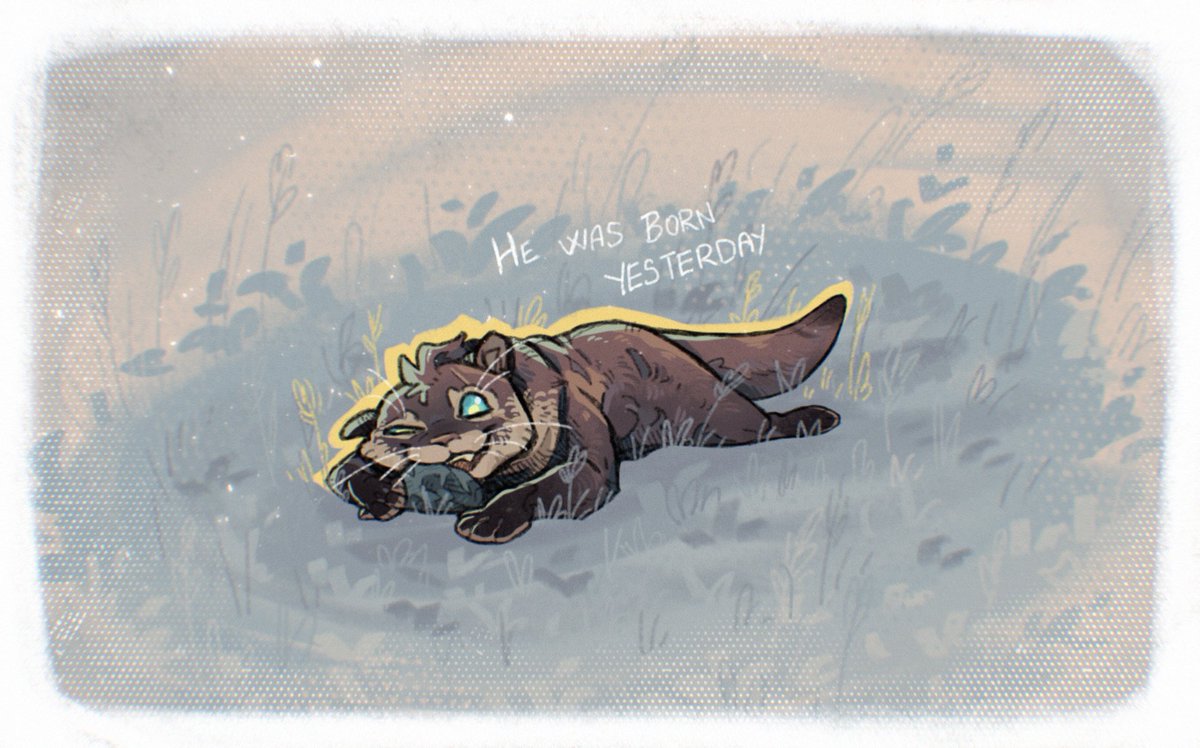 NotYourCat tweet media