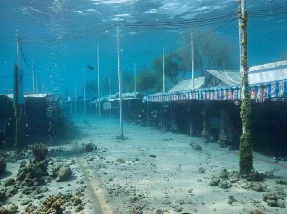 DominguezArjona's tweet image. Feria de Sevilla 2026 #Sevilla #FeriaSevilla36