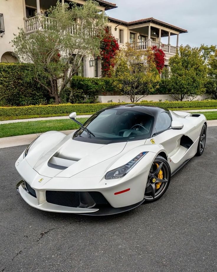 Ethan Alpha tweet media