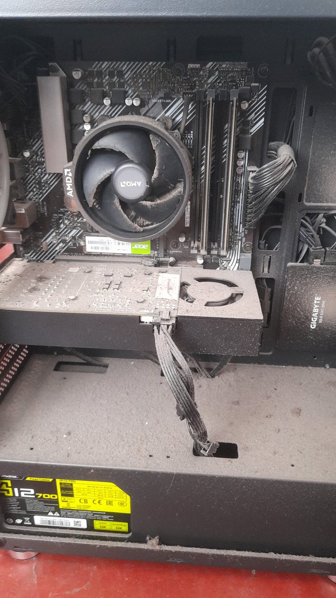 Perdón por no limpiarte desde que estás viva, ya mismo lo hago solo no mueras en el intento 😭