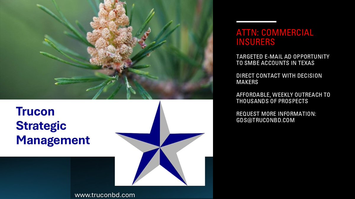 Ad space available for Texas professional services providers.